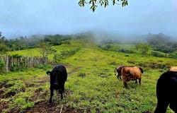 Boquerón, Chiriquí Province