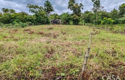 Boqueron, Boqueron, Chiriquí Province