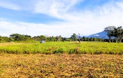 POTRERILLOS ARRIBA, DOLEGA unit: 3124m², Dolega, Chiriqui