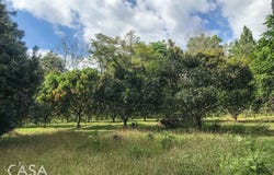 Boqueron, Boqueron, Chiriquí Province