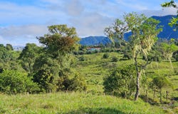 BOQUERÒN, CORDILLERA ARRIBA, Boquerón, Chiriqui