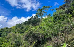 Bugaba District, Bugaba District, Chiriquí Province