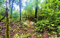 POTRERILLOS ARRIBA unit: 5879m², Dolega, Chiriqui