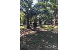 David, David, Chiriquí Province
