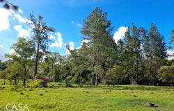 Volcán, Volcán, Chiriquí Province