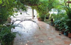 AVENIDA ESTUDIANTE, DAVID, CHIRIQUÍ, David, Chiriqui