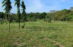 LAS UVAS, CALLE MANZANA 130907, SAN CARLOS, San Carlos, Panamá Oeste