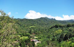 Palo Alto, Los Naranjos, Chiriquí Province