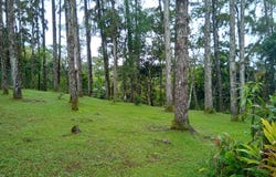 Cerro Azul EL ALCAZAR unit: Casa, Panamá, Panamá