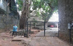 CALLE 43 ESTE, BELLA VISTA, Panamá, Panamá