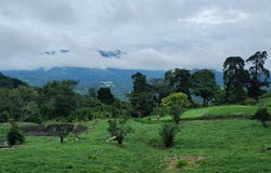 Las Terrazas, Bajo Boquete, Chiriquí Province