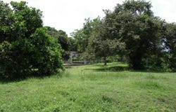 NUEVA GORGONA, AVE. LOREN ÉLIZABETH, LOTE TERRENO S/N, CHAME, Chame, Panamá Oeste