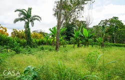 Bugaba District, Bugaba District, Chiriquí Province