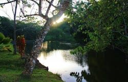 BRISAS DE LOS LAGOS, EL ARADO , LA CHORRERA unit: 57, La Chorrera, Panamá Oeste