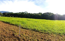 POTRERILLOS ARRIBA, DOLEGA unit: 6059m², Dolega, Chiriqui