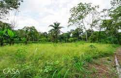 Bugaba District, Bugaba District, Chiriquí Province