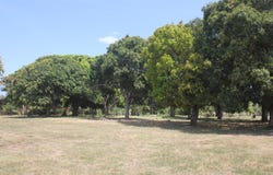 LLANO SÁNCHEZ, EL CHIRÚ unit: Terreno, Antón, Coclé