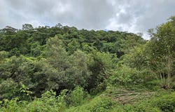 Via Cordillera - Volcan, Boqueron - Cordillera, Chiriquí, Boqueron - Cordillera, Chiriquí