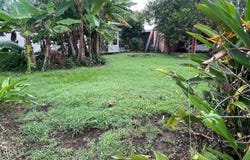 David, Chiriquí, Chiriqui Montaña - David, Chiriquí, Chiriqui Montaña - David, Chiriquí