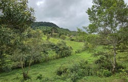 Via Cordillera - Volcan, Boqueron - Cordillera, Chiriquí, Boqueron - Cordillera, Chiriquí