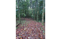 CERRO AZUL unit: 360192, Chepo, Panamá