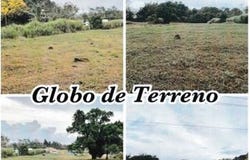 ARRAIJAN , VIA PANAMERICANA.A LA ALTURA DE CACERES, Arraijan - Cerro Silvestre, Panamá Oeste, Arraijan - Cerro Silvestre, Panamá Oeste
