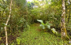 POTRERILLOS ARRIBA unit: 5879m², Dolega, Chiriqui
