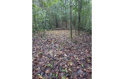 CERRO AZUL unit: 360192, Chepo, Panamá