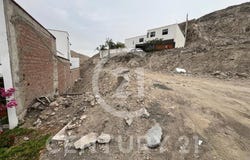 Los Cocos 40, Cieneguilla, Lima, Lima, Lima, Lima