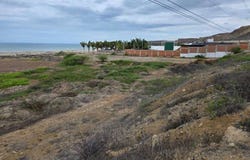 Ctra. Panamericana N 3310, 24540 N 3310, 24540, Zorritos, Contralmirante Villar, TumbES, TumbES