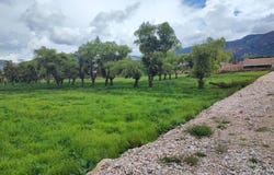Jr Miguel Angel Lote 19, Cajamarca, Cajamarca, Cajamarca, Cajamarca
