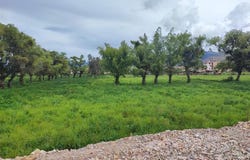 Jr Miguel Angel Lote 19, Cajamarca, Cajamarca, Cajamarca, Cajamarca