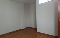LOS OLIVOS MZ F LOTE 30, Los Olivos, Lima, Lima, Lima, Lima