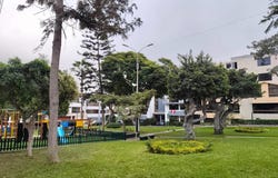 Forestales S/N, Santiago de Surco, Lima, Lima, Lima, Lima