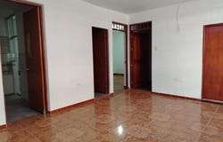 La Molina 124, Los Olivos, Lima, Lima, Lima, Lima