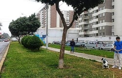 Av. Venezuela 5355, Lima, Lima, Lima, Lima, Lima