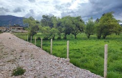 Jr Miguel Angel Lote 19, Cajamarca, Cajamarca, Cajamarca, Cajamarca