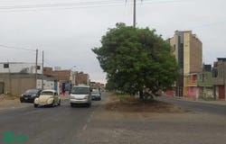 P.J La Natividad Calle San Martin 1342, Tacna, Tacna, Tacna, Tacna, Tacna