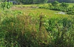 Bayugan-Esperanza Road, Hawilian, Agusan del Sur 8513