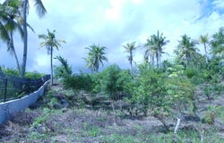 PG35+65, Alcoy, Central Visayas
