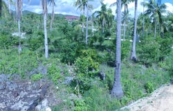 PG35+83, Alcoy, Central Visayas