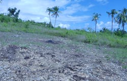 PG35+83, Alcoy, Central Visayas