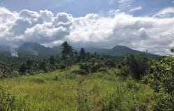 Bicol, Bicol