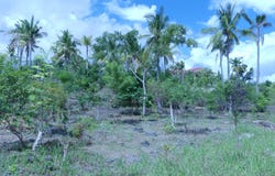 PG35+65, Alcoy, Central Visayas