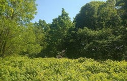 Śrem, Wielkopolskie