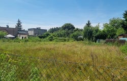 Czerwonak, Wielkopolskie