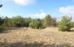 Śrem, Wielkopolskie