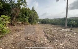 PR State Road 129 Ramal 428 Km 8 Bo. Quebradas Sector Echegaray, Camuy, Camuy, Camuy, Camuy