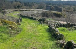 Moimenta da Beira, Viseu District