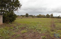 Chamusca, Santarém 2140-664